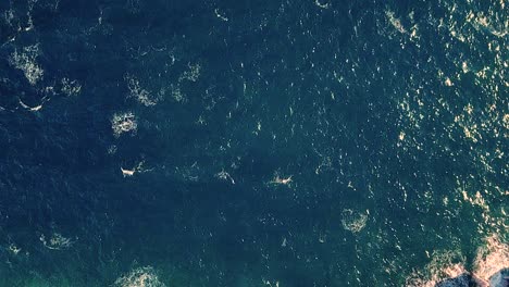 straight down drone shot over the sea showing waves