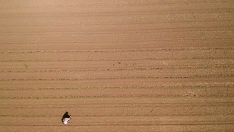 Bauer,-Der-Im-Sonnenlicht-Auf-Dem-Feld-Arbeitet