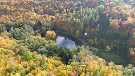 a view of a small pond from a height above colorful trees in autumn with a rotating camera movement