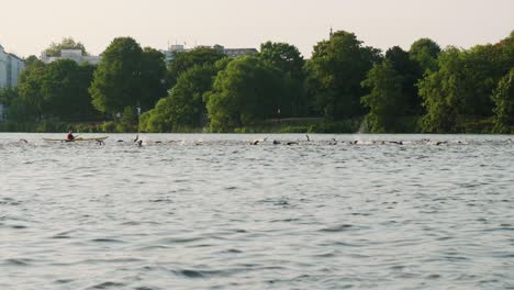 Zeitlupenaufnahme-Der-Außenalster-Mit-Schwimmern-Beim-Ironman-In-Hamburg