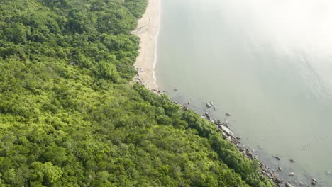 巴西圣卡塔里纳的热带海岸,两个人在海<unk>上散步的远景