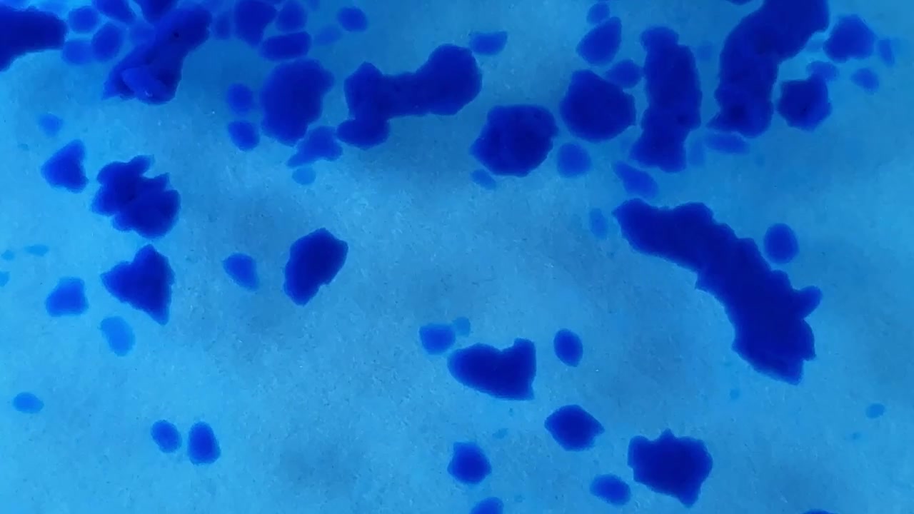 Sfondo astratto con forme blu organiche