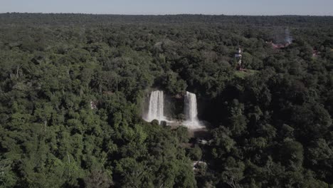 una cascada sobre un bosque exuberante