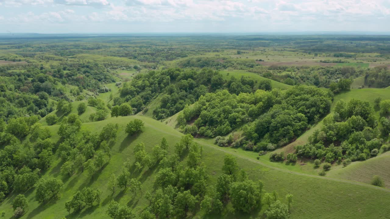 panorama de verdes colinas con árboles en deliblato sands en vojvodina, serbia