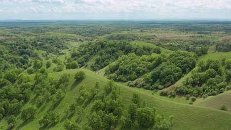 panorama of green hills with trees at deliblato sands in vojvodina, serbia