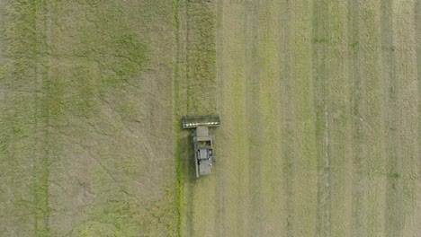 Aerial-establishing-view-of-combine-harvester-mowing-yellow-wheat,-dust-clouds-rise-behind-the-machine,-food-industry,-yellow-reap-grain-crops,-sunny-summer-day,-descending-birdseye-drone-shot