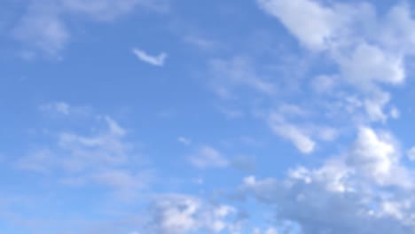 avión en el cielo volando