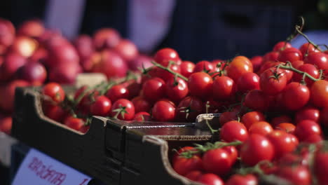 tomates cereza recién recogidos en un mercado