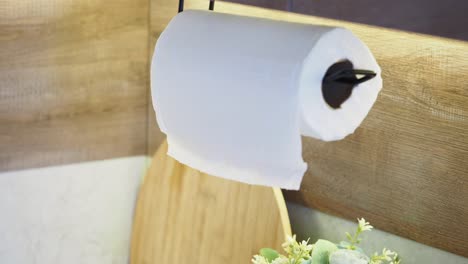 paper towel roll hanging in a kitchen