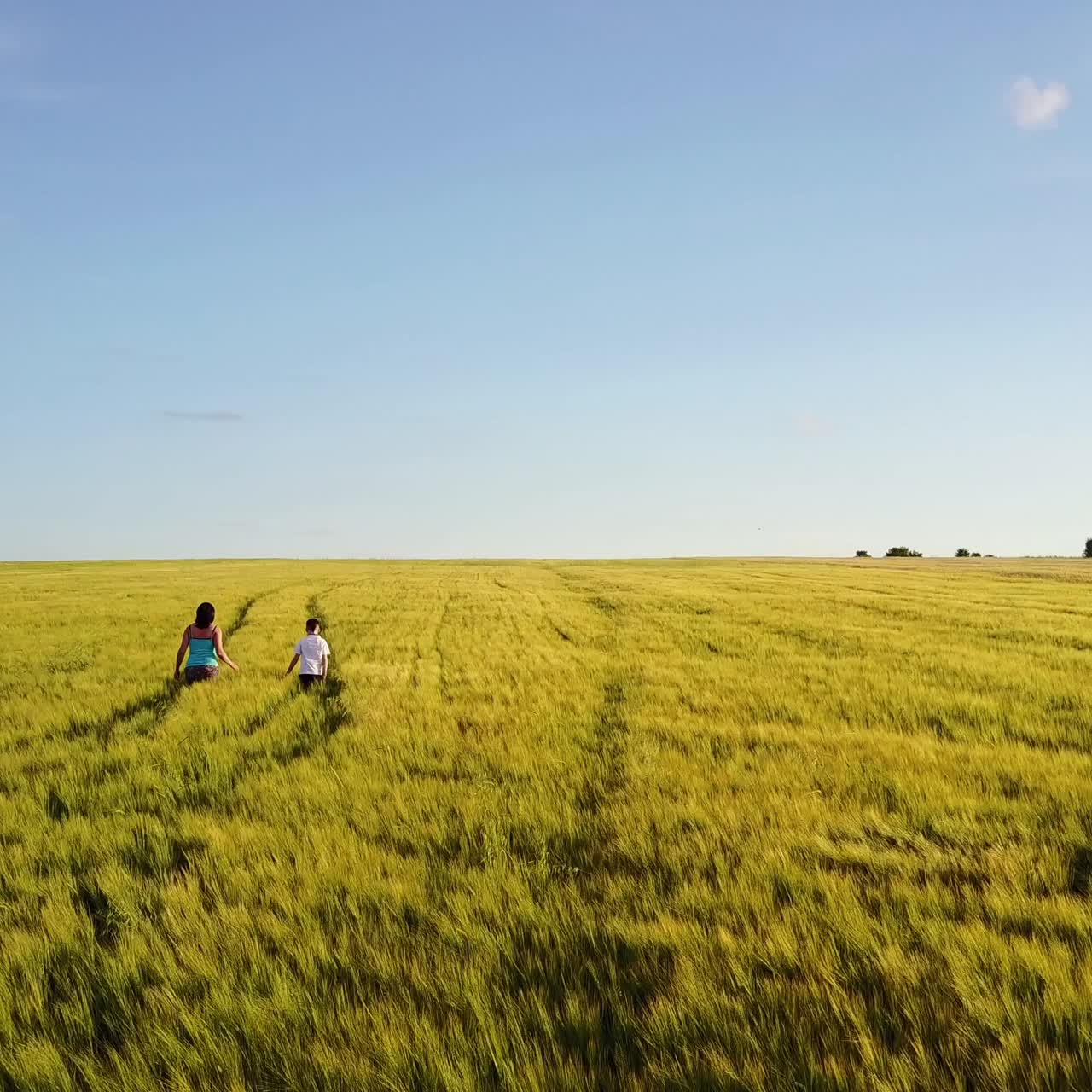 familia caminando por el campo