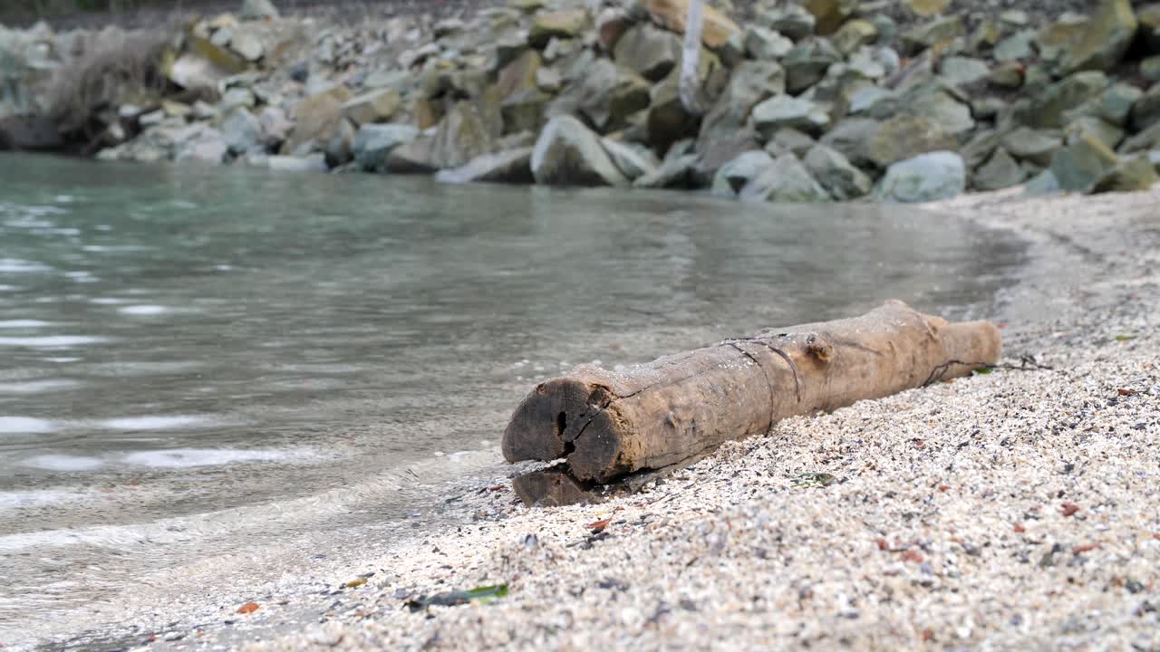 파도가 밀려오는 해변에 로그인