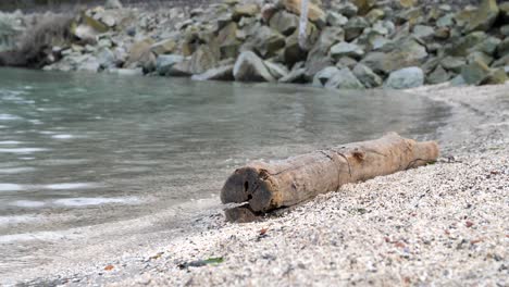 log on beach with waves rolling up on it