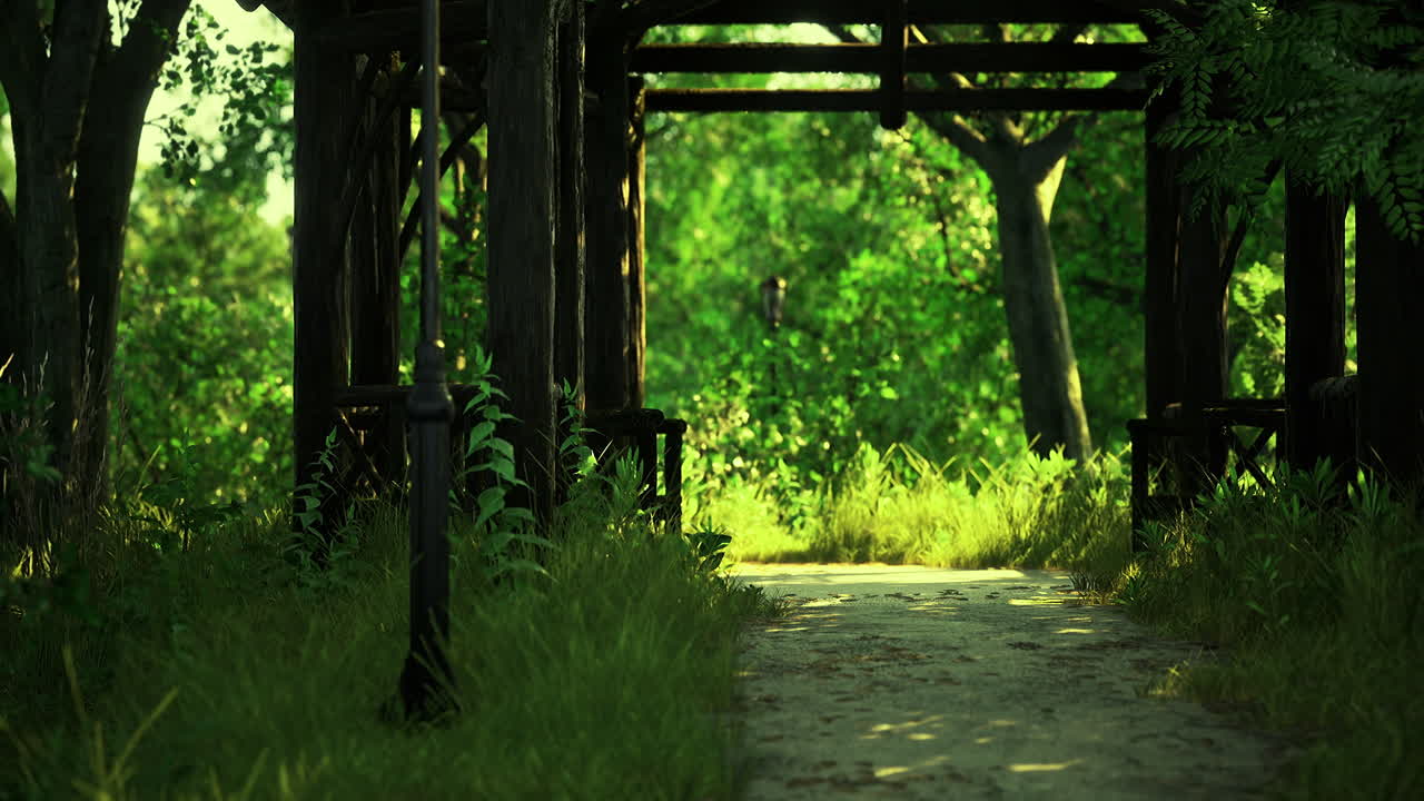 녹색 숲 을 가로지르는 울창 한 길 은 낮 에 나무 로 된 프레임 워크 를 가지고 있다