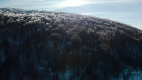 drone rise over trees with frozen branches in sunny winter day-4