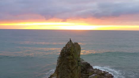 Vogel-Sitzt-Auf-Felsen-Der-Kathedrale,-Seestapel-Bei-Sonnenuntergang-In-Kiama-Downs,-Nsw,-Australien