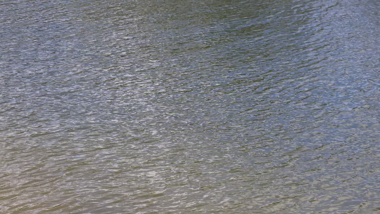 시간이 지남에 따라 물 표면 텍스처의 변동