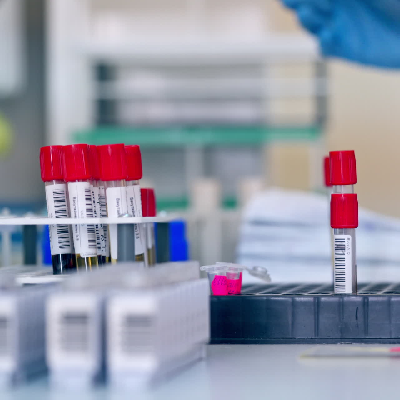 Covered vials with liquid in the laboratory. Test tubes on special support on the table on blur background of a female writing the results.