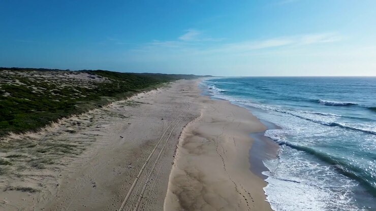 Drohnen-Luftbildlandschaft von Wellen, die an einer Sandbank der Meeresküste brechen, mit Buschlandvegetation auf Dünen, Central Coast Australien. Natur, Wasser, Reisen.