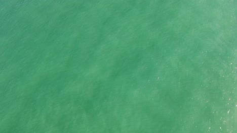 turquoise green ocean sea water texture, top down view, light sun reflexion
