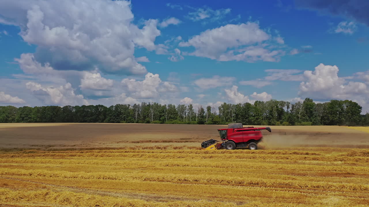 Industrial landscape with combine. Combine harvester works on wheat field