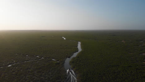 Boat-sailing-in-Sian-Ka'an-Mexico-mangrove-ecosystem