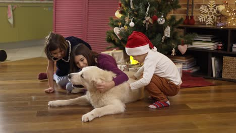 Three-kids-stroking-golden-retriever-dog-and-laughing-on-the-floor-under-decorated-new-year-tree