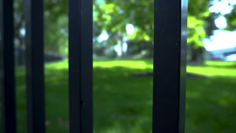 looking through a metal fence at a lush lawn in the center of grand rapids