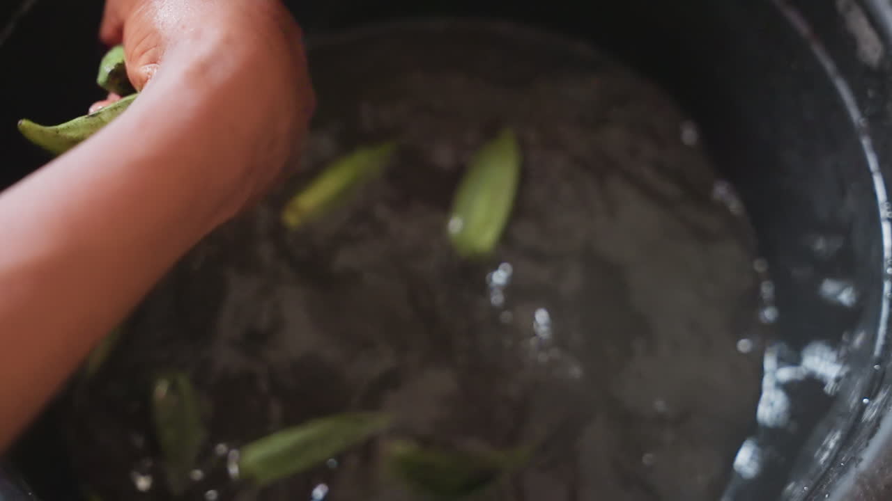 Closeup hand washing okra in pot, household cook rinsing pods, vendorstyle sorting and gardener inspecting stems water swirls, fingers move, droplets sparkle, fresh green pods glisten against dark pot