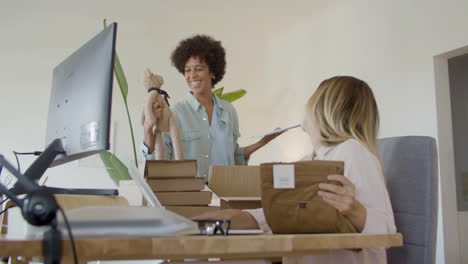 two young female entrepreneurs working together in home office