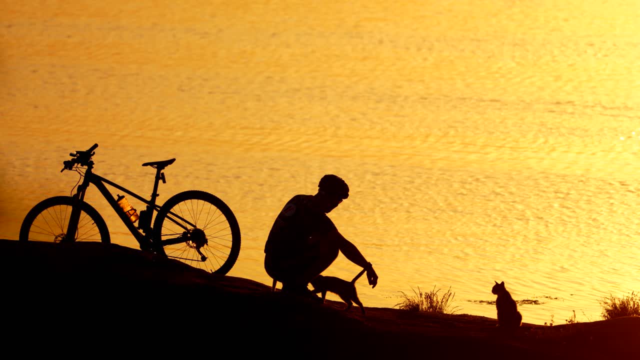Male cyclist with cats on orange water background at sunset. Silhouette of a man sitting near the bike and three cats in the evening.