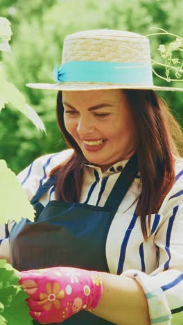 A Joyful Gardener Engaging in the Art of Pruning Grapevines with Care and Precision in a Lush Green Vineyard