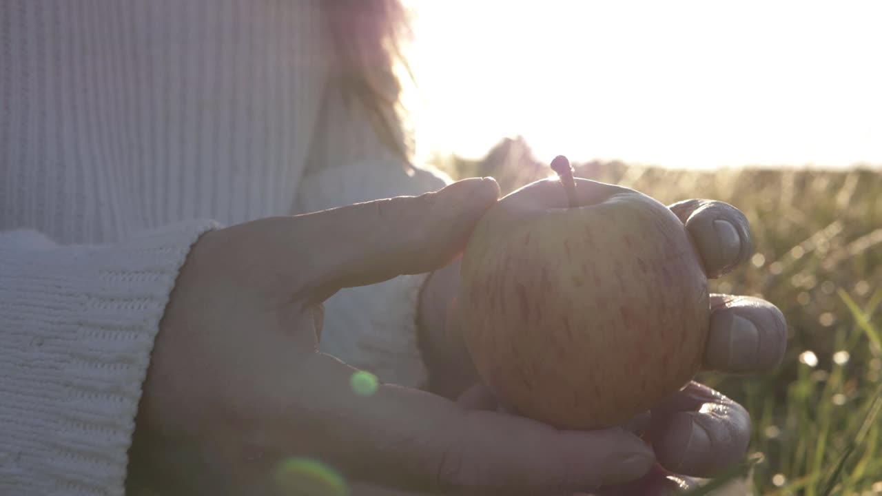 Hands offering juicy red apple against sunlit background