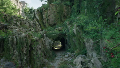 a lush jungle path leading through a stone archway