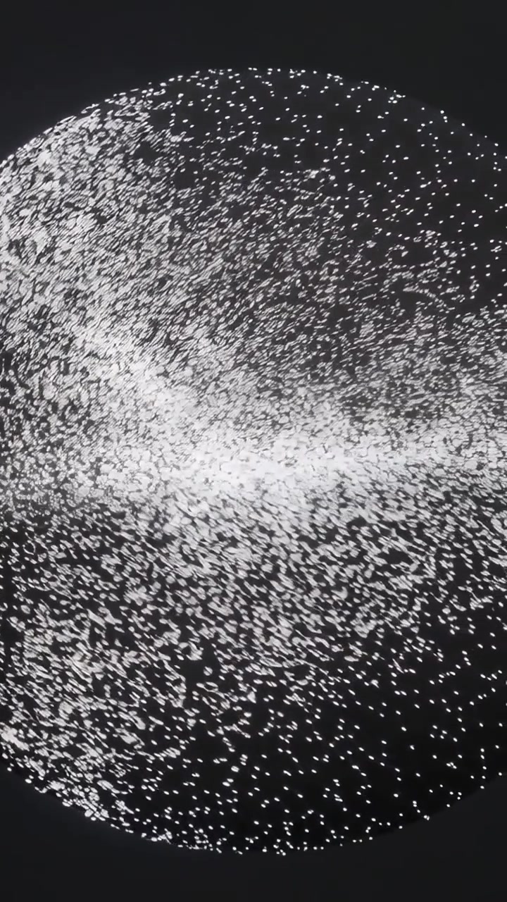 Video verticale: Con l'avanzare dei fotogrammi, disco scuro che acquisisce molti punti bianchi su sfondo nero, che ruota