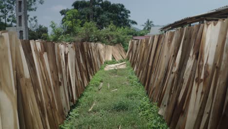 drying wood planks in a yard