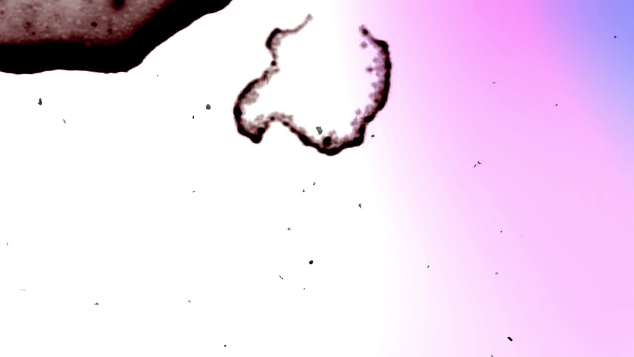 Abstract Light Leaks and Dust Overlay with Color Transition