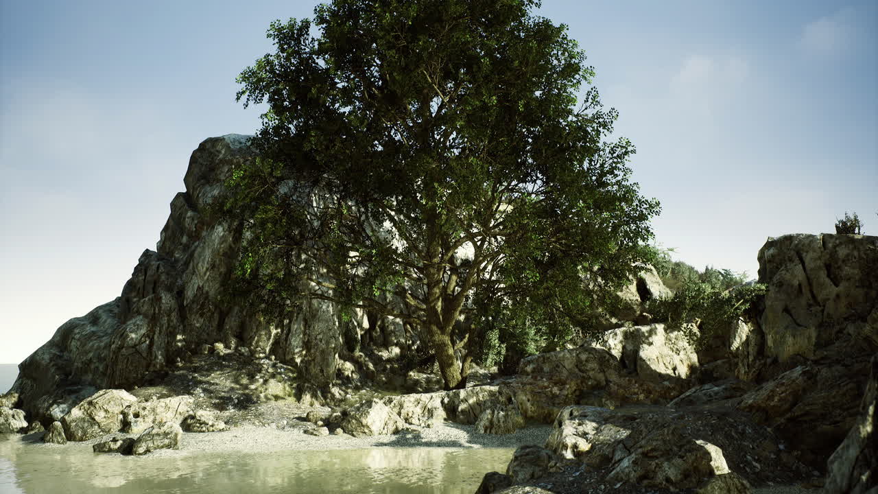 Scenic Landscape with Tree and Rocks by the Water
