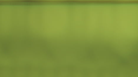 fondo verde borroso