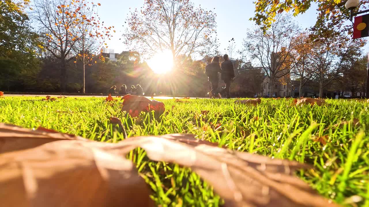 люди гуляют в освещенном солнцем парке.