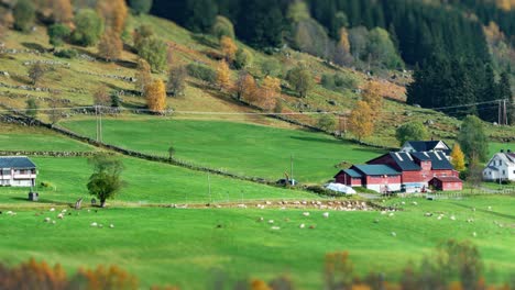 a flock of sheep grazing on the green pasture at the foot of the mountain