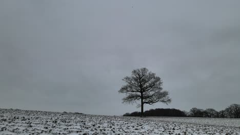 low aerial pov over bare farm field in winter scattering of snow on the ground