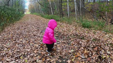 niña pequeña con chaqueta rosa con capucha corre y salta a un montón de hojas a cámara lenta
