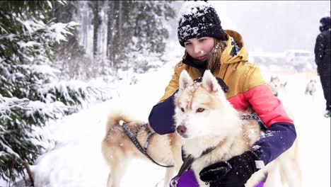la hermosa chica abrazando al perro. la chica con el husky siberiano