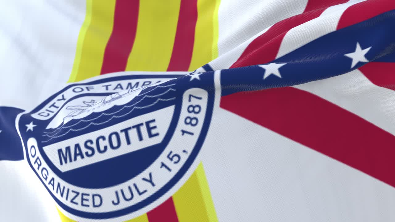 파 시의 발, 미국, 느린 루프