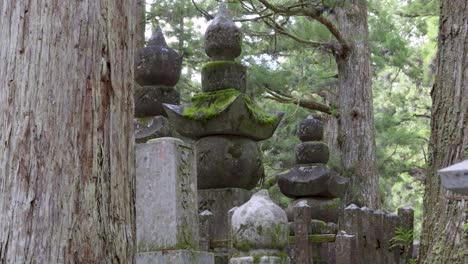 deslizador a la derecha en cámara lenta sobre los pilares en koyasan en japón