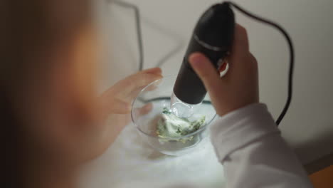 little girl scans plant leaf with digital probe at test