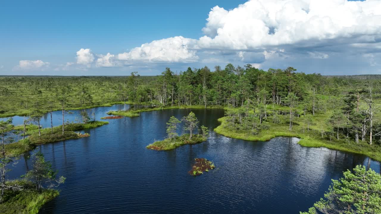 Aerial drone view of bog lake in Tolkuse bog in Estonia