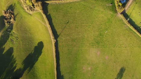 Toma-Aérea-Hacia-Abajo-De-Ricos-Campos-Verdes-En-Fire-Beacon-Hill-Cerca-De-Sidmouth-Devon-Inglaterra-Con-La-Puesta-De-Sol-Proyectando-Hermosas-Sombras-De-Los-árboles