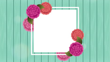 square frame with beautiful roses garden