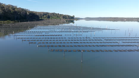 oyster farms on wapengo lake, south coast, new south wales, australia